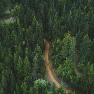 "Jeg kan ikke tage nogen dybere, end jeg selv har været."

Jeg arbejder med mennesker, men jeg arbejder også med mig selv. Hver dag.
Ikke fordi jeg skal være “færdig” – men fordi det er sådan, jeg bliver ved med at kunne lytte med åbenhed og være til stede.

Jeg tror på, at vi kun kan møde andre så dybt, som vi selv har været villige til at gå.
Derfor er det indre arbejde noget, jeg gør for at opdage nye sider af mig selv. For at forstå mit eget indre landskab. 

Jeg møder mine egne mønstre.
Bliver bevidst om mine reaktioner.
Øver mig i at regulere, rumme og lytte.
Tager ansvar for det, der er mit – så jeg kan møde den, der sidder overfor, med nysgerrighed og nærvær.

Så når du sætter dig i stolen overfor mig, ved du, at du bliver mødt af én, der går vejen selv. Ikke én, der “har styr på det hele” – men én, der kender landskabet indefra. ❤

📷 Andy Feliciotti