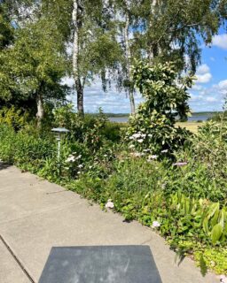 Så blev det tid til ferie ☀️

I denne uge har jeg haft mine sidste klientsamtaler og supervision inden ferien - og i dag havde jeg min sidste vagt hos Lev Uden Vold før sommerferien. Nu er bilen pakket, og i morgen tager min lille familie afsted på eventyr.

Jeg starter ferien med yoga – det hjælper, når både krop og hoved er lidt rundtosset af feriepakning. 😉

Jeg mærker en dyb taknemmelighed over alt det, jeg får lov at være en del af: de mange samtaler, møder og mennesker, der giver mit liv mening og dybde. Samtidig glæder jeg mig til ro, nærvær og oplevelser med dem, jeg elsker.

Jeg ser allerede frem til efter ferien, hvor jeg tager fat på endnu flere samtaler og starter på mit sidste år på studiet hos Akademiet Indre By. Det føles som et stort privilegium at få lov at gå vejen – både for mig selv og sammen med andre ❤️

Rigtig god sommer til jer alle ☀️